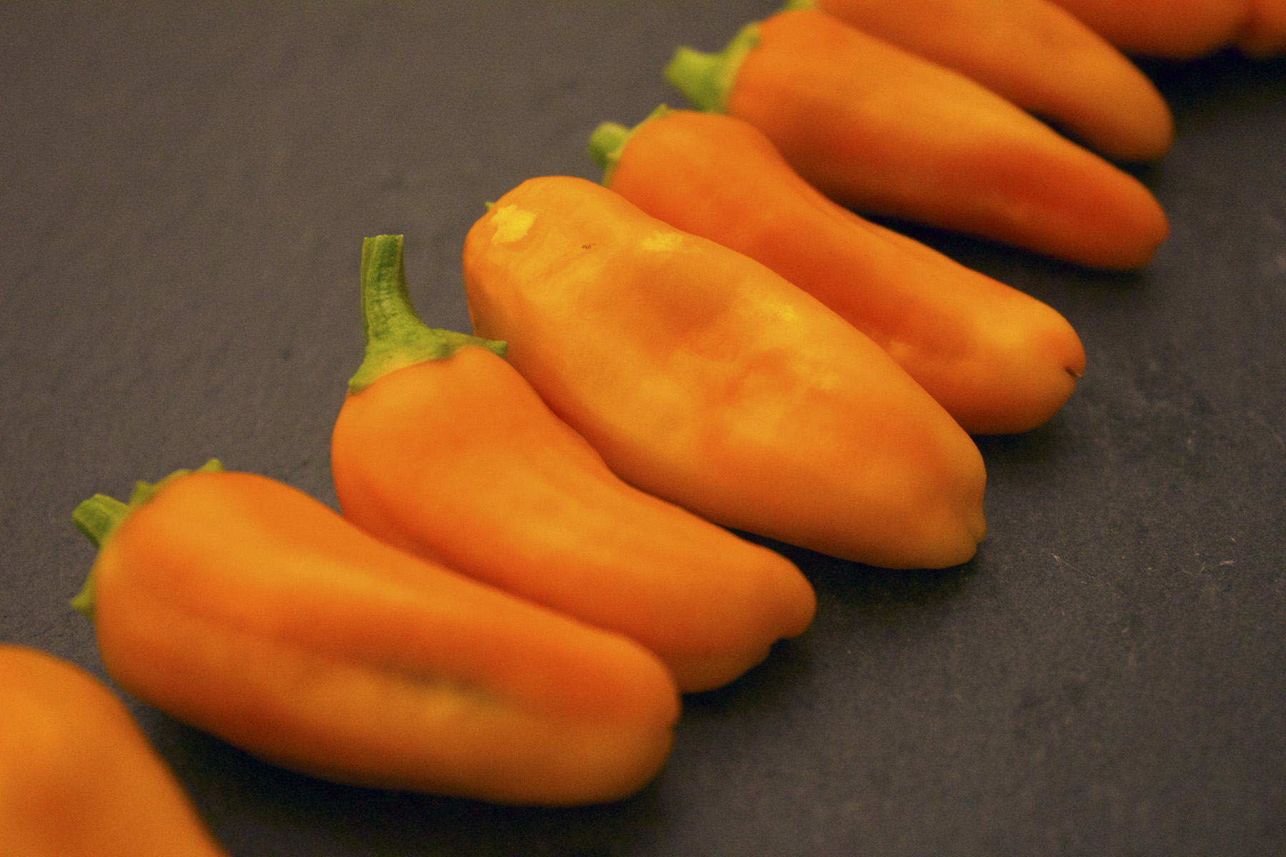 Chili_Titel_Alternative